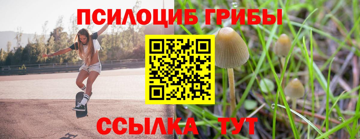 Псилоцибиновые грибы прущие грибы Серов