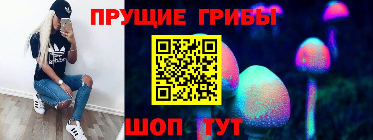 Псилоцибиновые грибы Psilocybe  Вход с VPN  Серов 